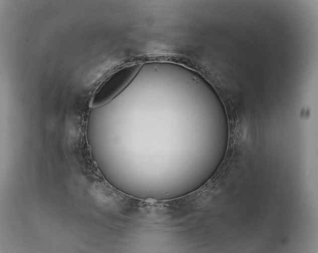 X0000111241157200907091352
