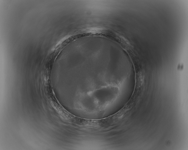X0000111241158200907091352