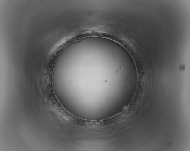 X0000111241159200907091352