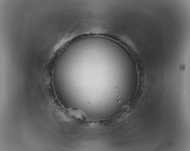 X0000111241160200907091352