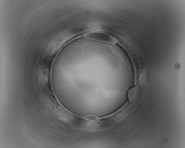 X0000111241161200907091352
