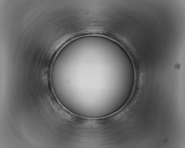 X0000111241162200907091352