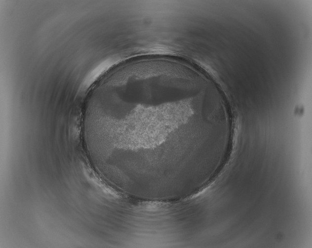 X0000111241163200907091352