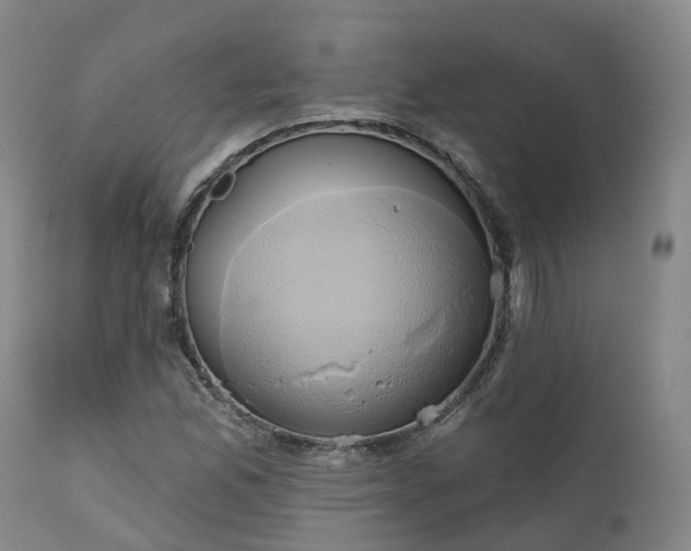 X0000111241165200907091352