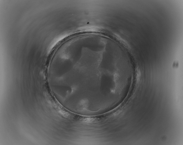 X0000111241166200907091352