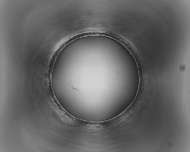 X0000111241168200907091352