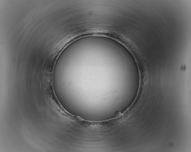 X0000111241169200907091352