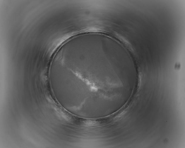 X0000111241170200907091352