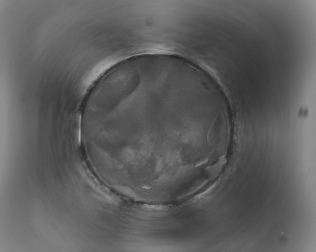 X0000111241171200907091352