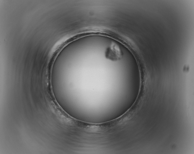 X0000111241172200907091352