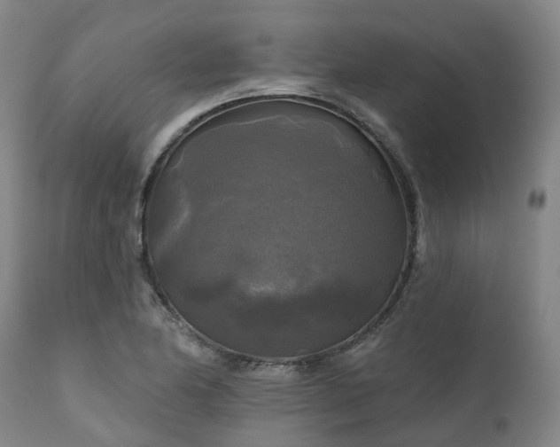 X0000111241174200907091352