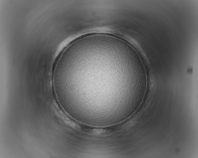 X0000111241176200907091352