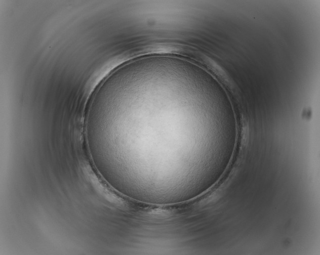 X0000111241178200907091352