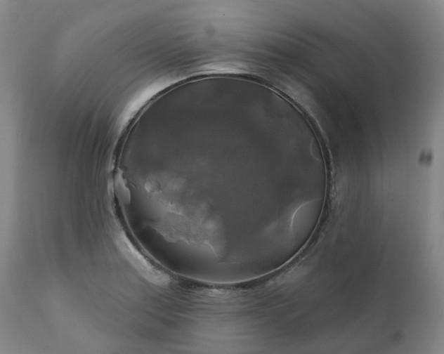 X0000111241179200907091352