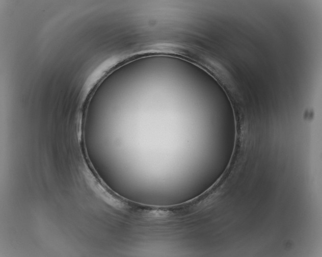 X0000111241180200907091352