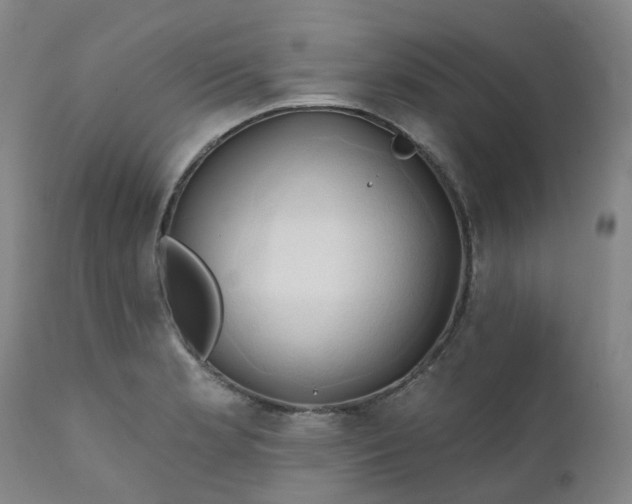 X0000111241181200907091352