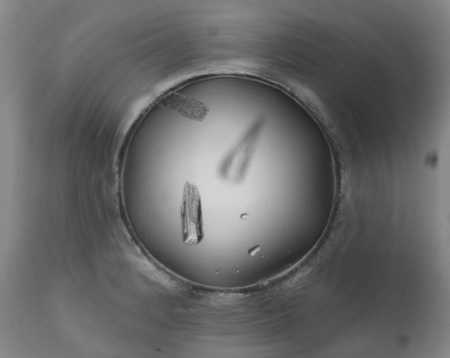 X0000111241184200907091352
