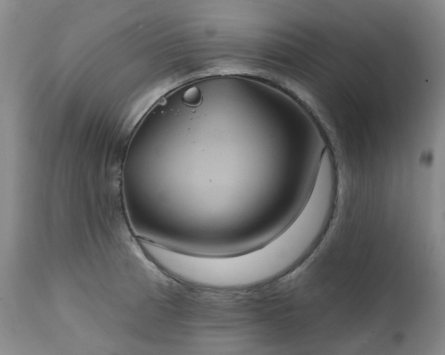 X0000111241185200907091352