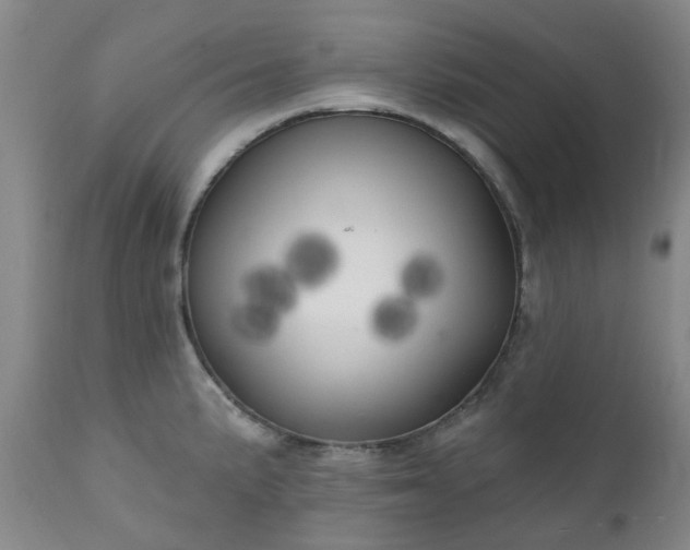 X0000111241191200907091352