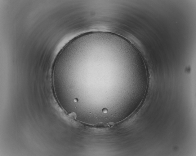 X0000111241192200907091352