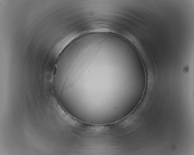 X0000111241193200907091352