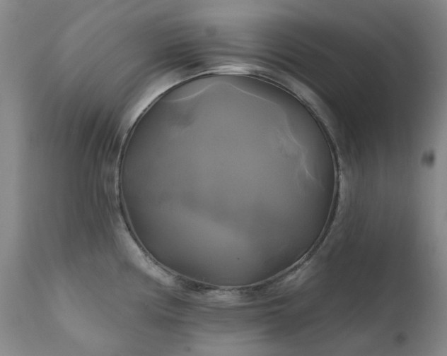 X0000111241194200907091352