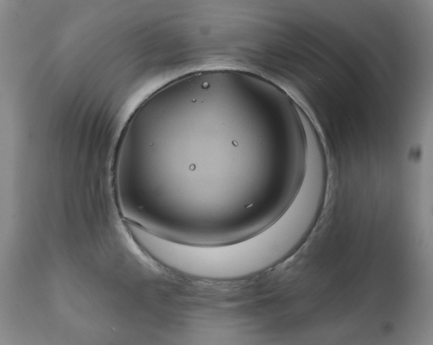 X0000111241197200907091352