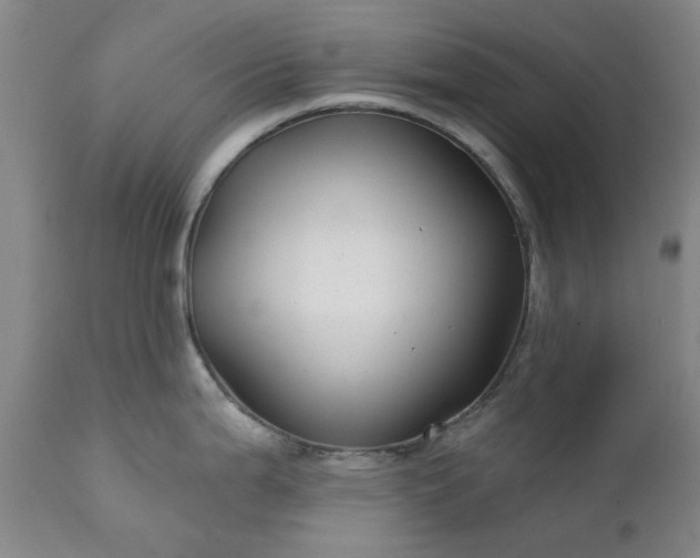 X0000111241199200907091351