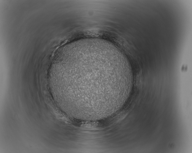 X0000111241201200907091351