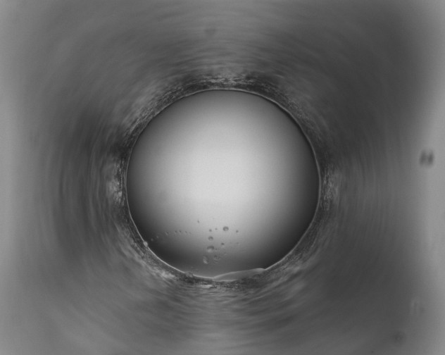 X0000111241202200907091351