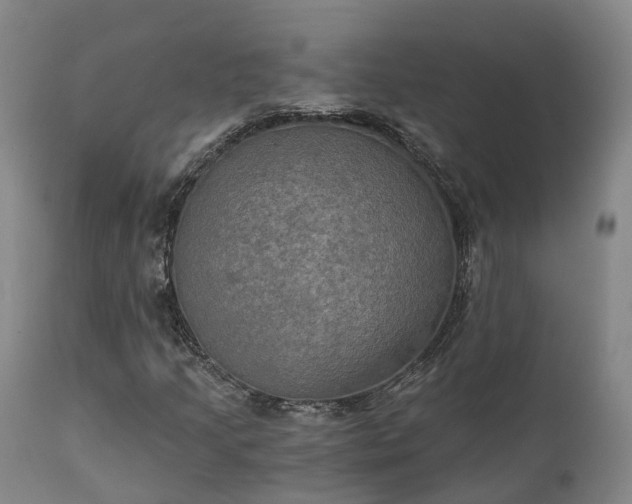 X0000111241205200907091351