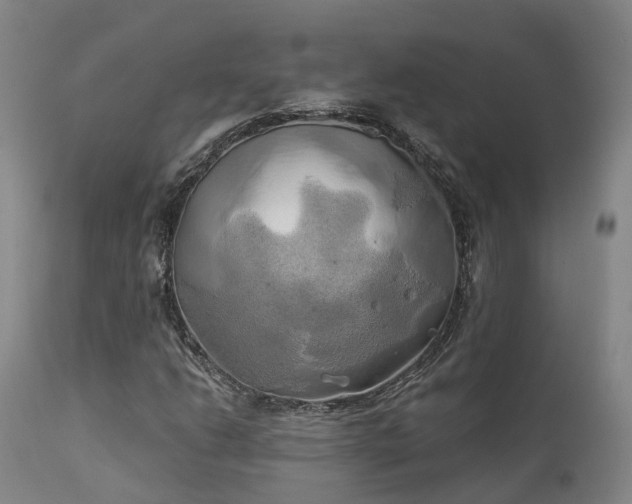X0000111241206200907091351