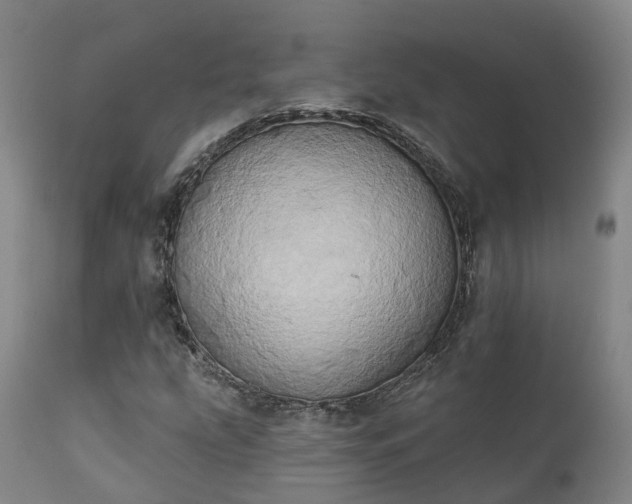 X0000111241207200907091351