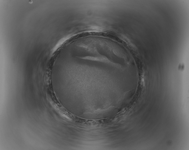 X0000111241208200907091351
