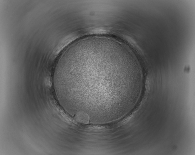 X0000111241209200907091351