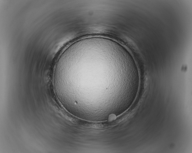 X0000111241210200907091351