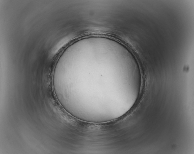 X0000111241211200907091351