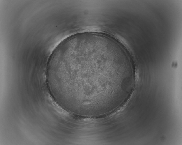 X0000111241212200907091351