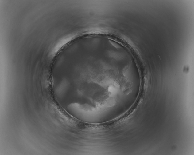 X0000111241213200907091351