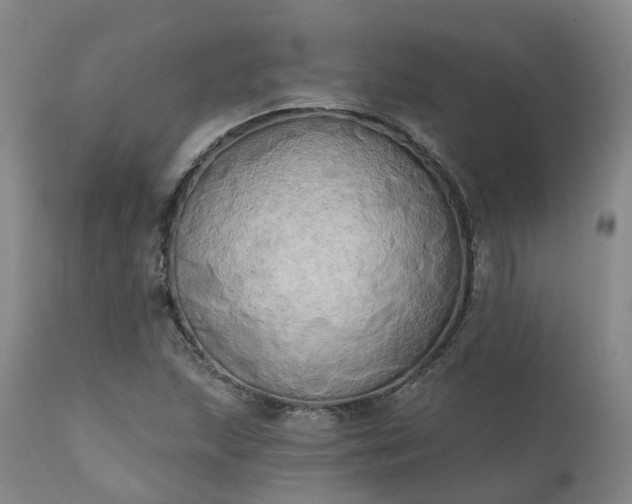 X0000111241215200907091351