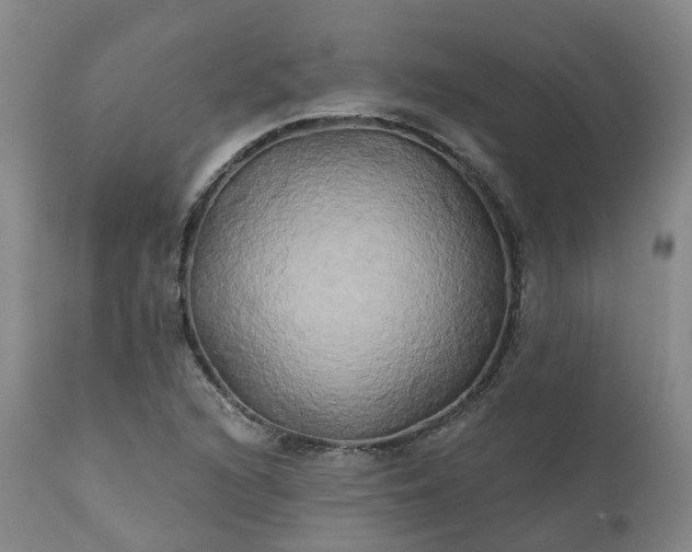 X0000111241216200907091351