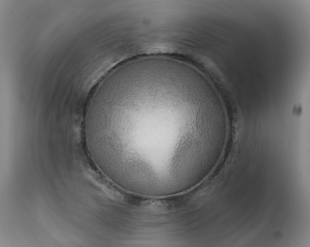 X0000111241217200907091351