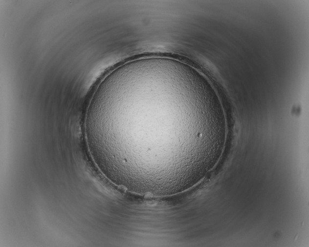 X0000111241218200907091351