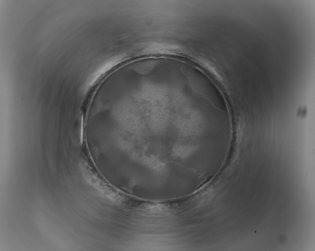 X0000111241219200907091351