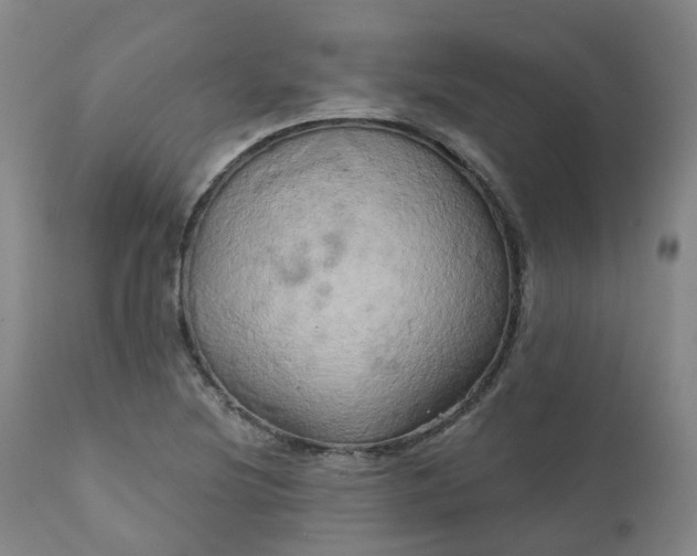 X0000111241220200907091351