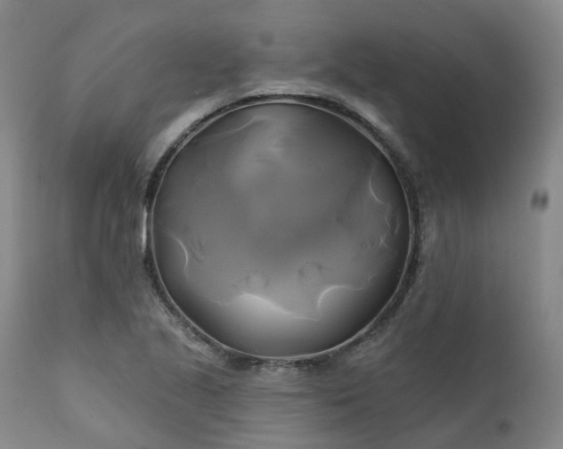 X0000111241221200907091351