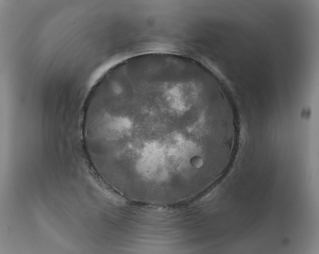X0000111241222200907091351