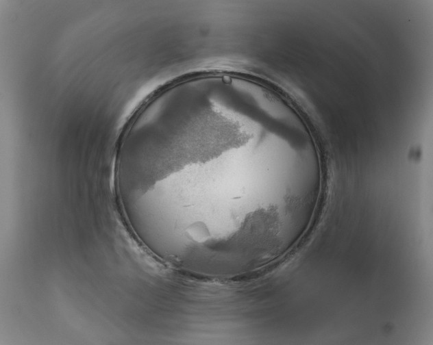 X0000111241224200907091351