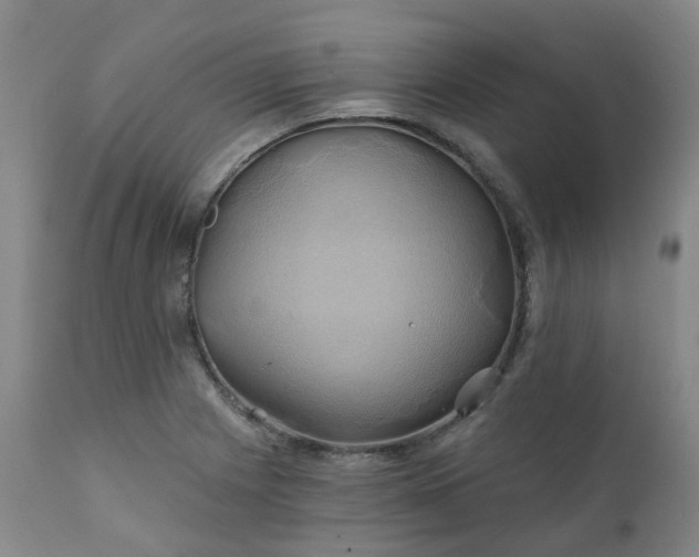 X0000111241225200907091351
