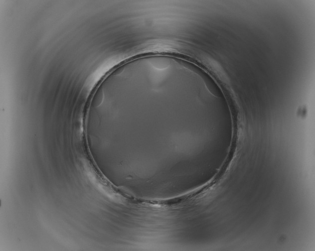 X0000111241226200907091351